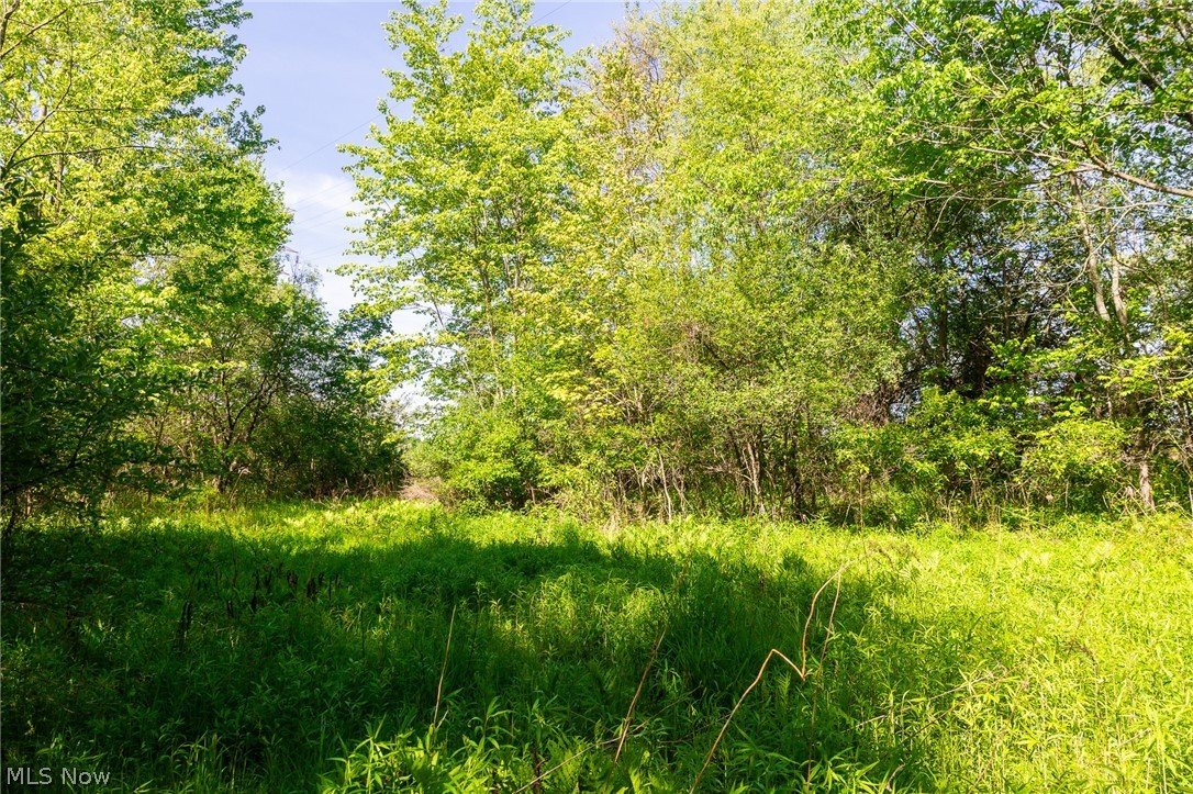 11154 Shetler Avenue SW Bolivar OH 44612
