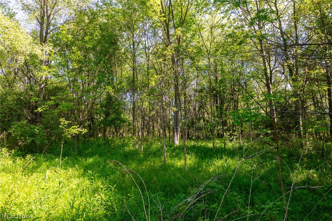 11154 Shetler Avenue SW Bolivar OH 44612
