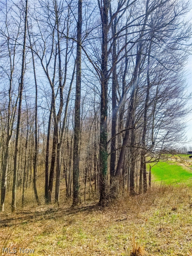 17805 Early Cemetary Road Kimbolton OH 43749