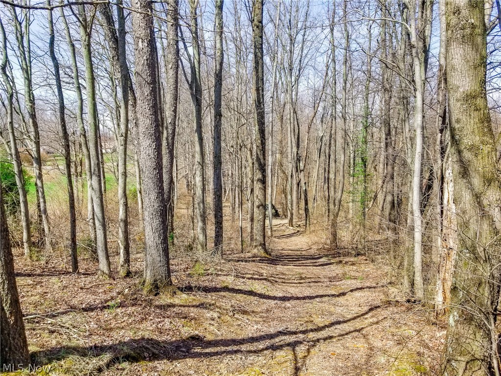 17805 Early Cemetary Road Kimbolton OH 43749