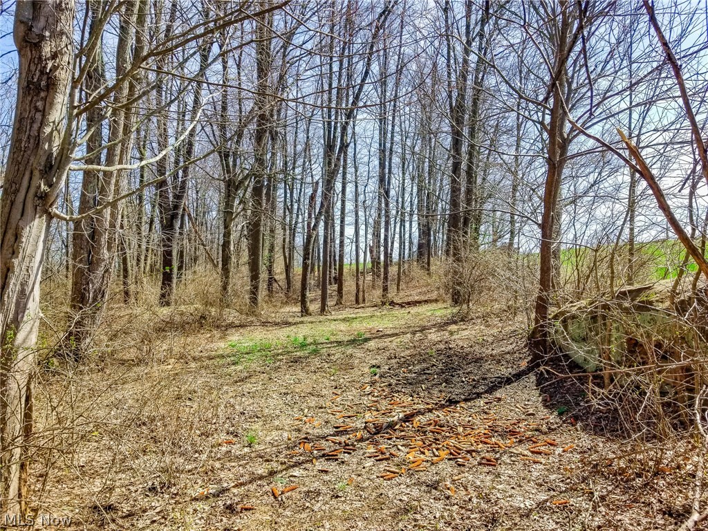 17805 Early Cemetary Road Kimbolton OH 43749