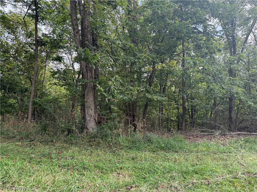 219 Peachtree Lane Wellsburg WV 26070