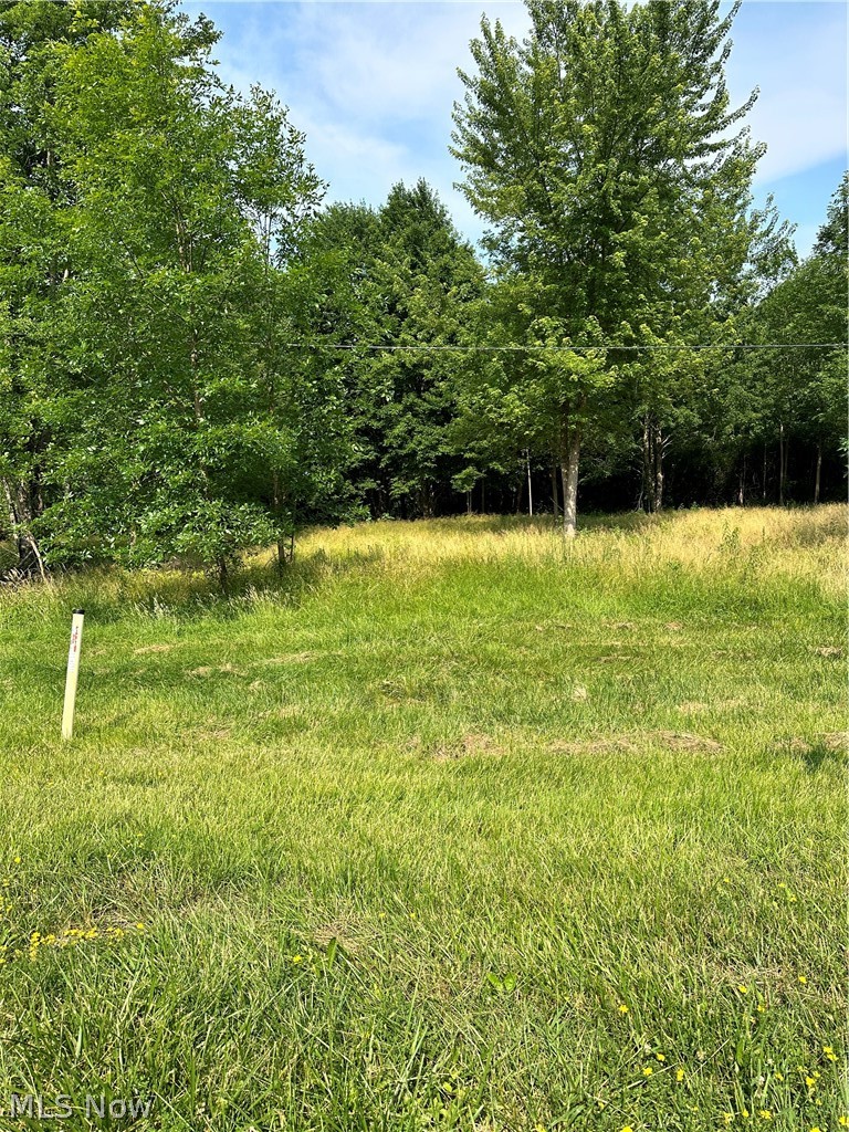 1629 Sugar Creek Drive Roaming Shores OH 44084