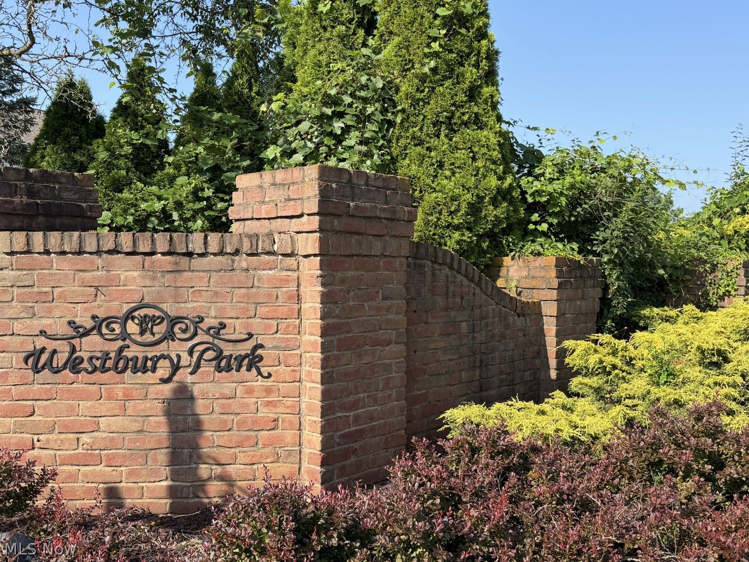 Grayson Drive Canfield OH 44406