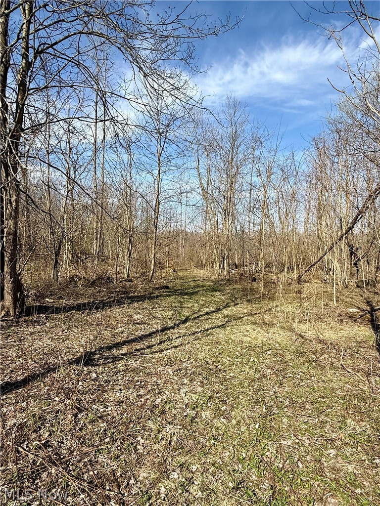 515 Middle Road Conneaut OH 44030