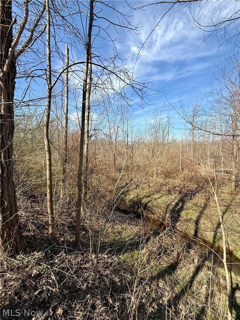 515 Middle Road Conneaut OH 44030