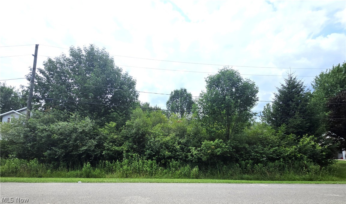 2485 Trellis Place Roaming Shores OH 44084