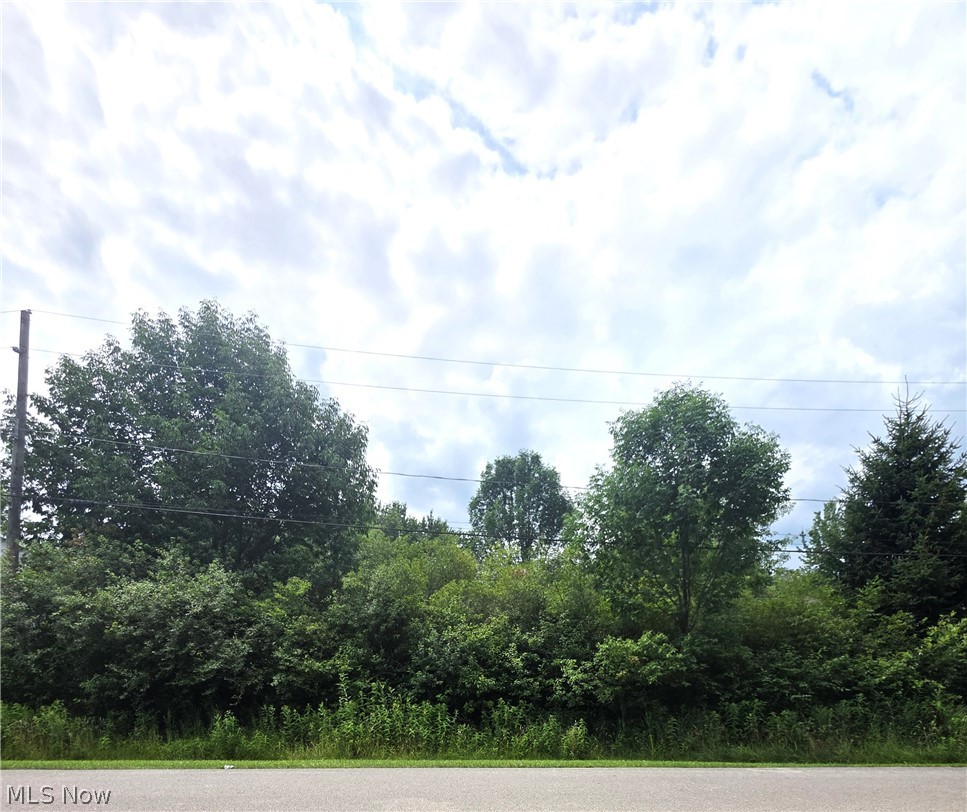 2485 Trellis Place Roaming Shores OH 44084