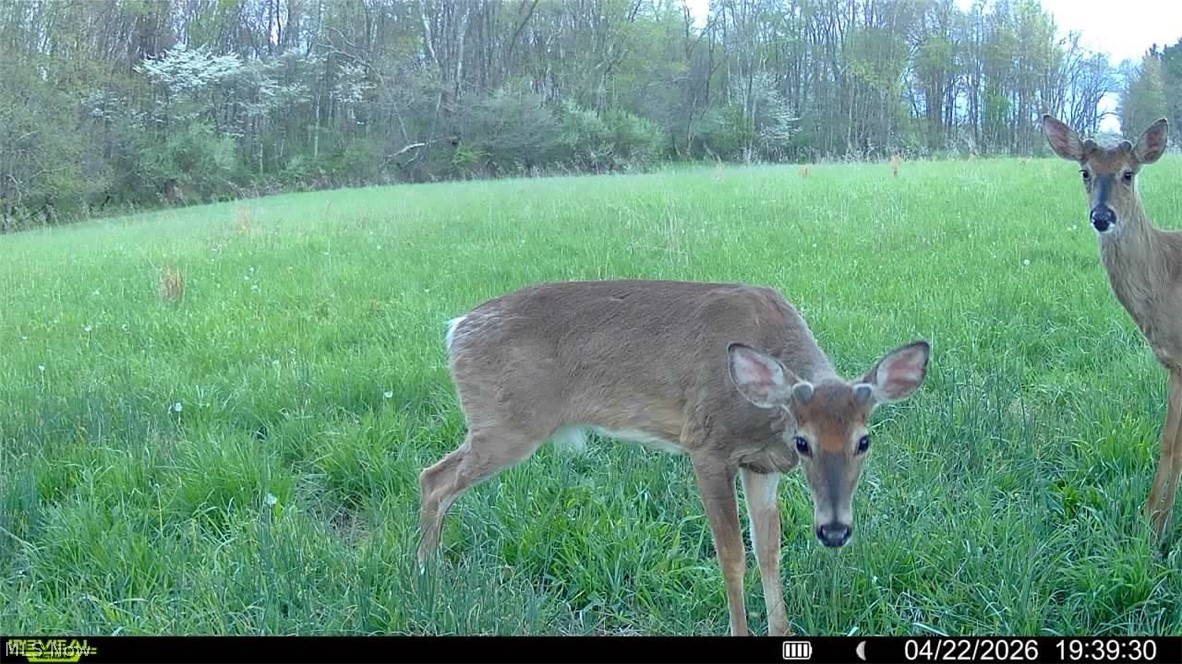 4101 Peace Road SE Carrollton OH 44615
