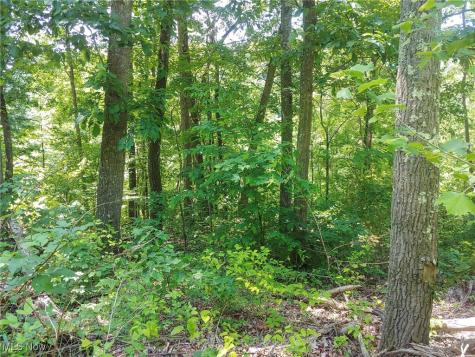 Lot 11 Moss Run Road Marietta OH 45750