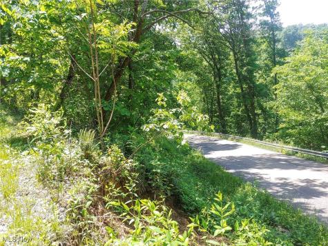 Lot 11 Moss Run Road Marietta OH 45750