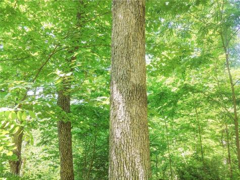 Lot 11 Moss Run Road Marietta OH 45750