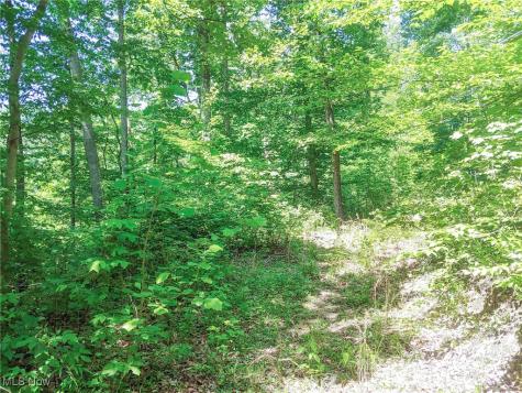 Lot 11 Moss Run Road Marietta OH 45750