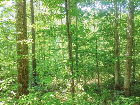 Lot 11 Moss Run Road Marietta OH 45750