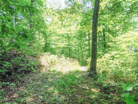 Lot 11 Moss Run Road Marietta OH 45750