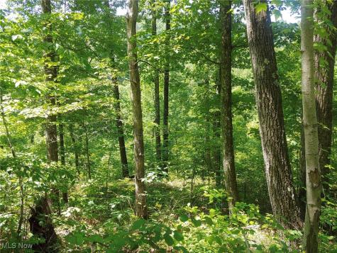 Lot 11 Moss Run Road Marietta OH 45750