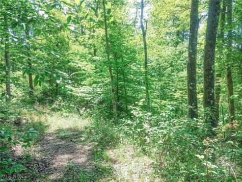Lot 11 Moss Run Road Marietta OH 45750