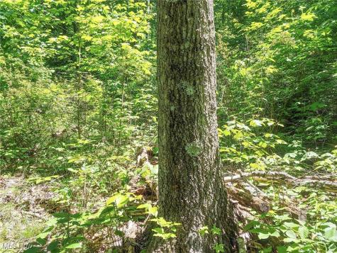 Lot 11 Moss Run Road Marietta OH 45750