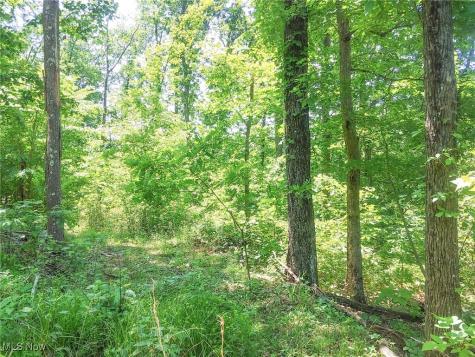 Lot 11 Moss Run Road Marietta OH 45750