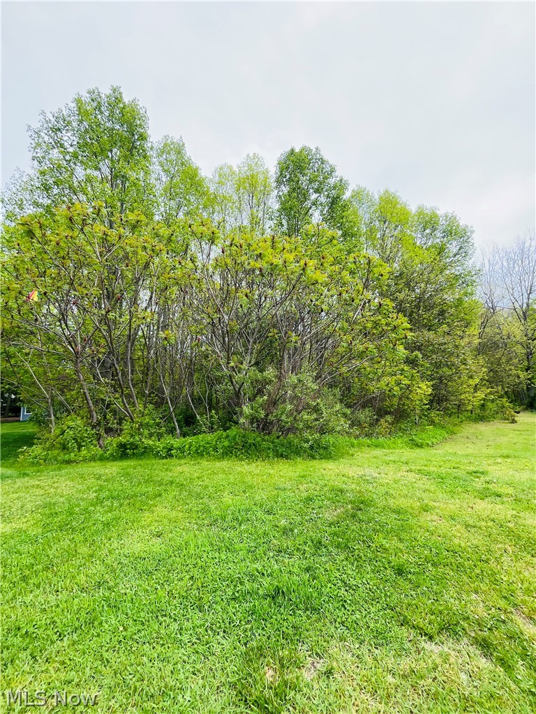 2215 Cambrian Street Madison OH 44057