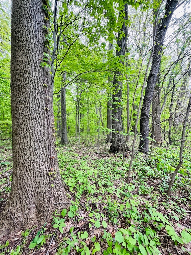 2215 Cambrian Street Madison OH 44057