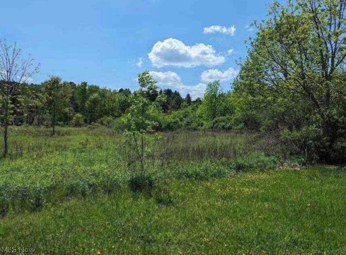 0 Ridgewood Road Medina OH 44281