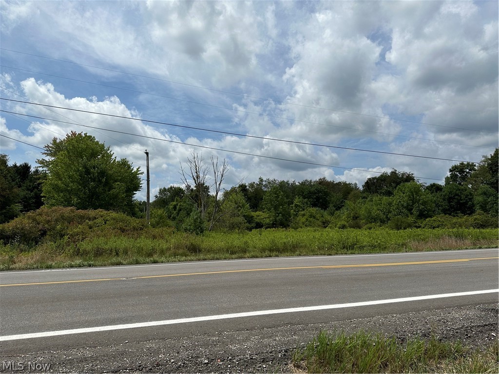 0 Ridgewood Road Medina OH 44281