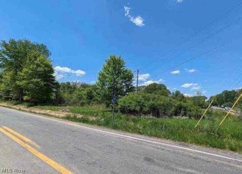 0 Ridgewood Road Medina OH 44281