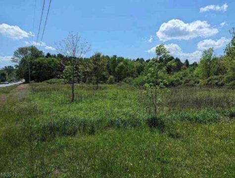 0 Ridgewood Road Medina OH 44281