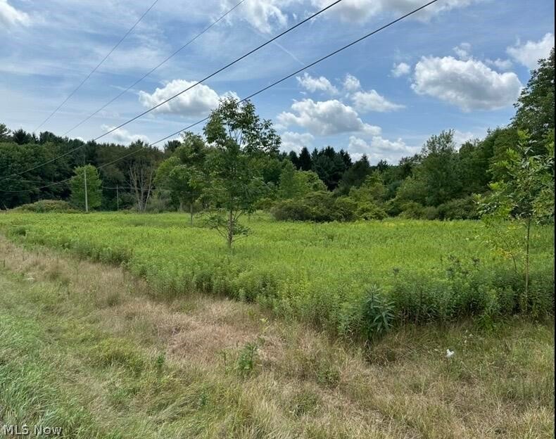 0 Ridgewood Road Medina OH 44281