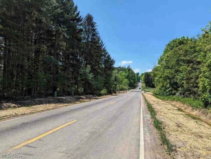 0 Ridgewood Road Medina OH 44281