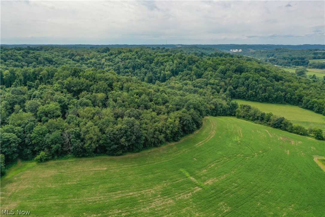 91695 Harrison Road Scio OH 43988