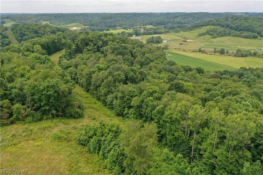 91695 Harrison Road Scio OH 43988