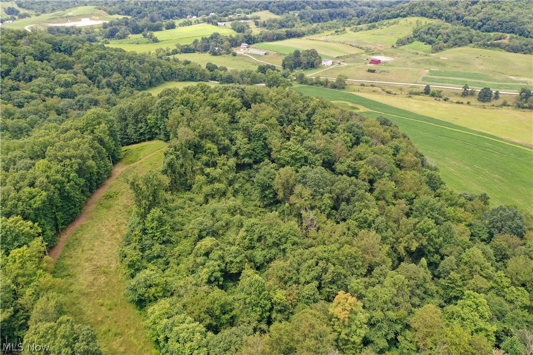 91695 Harrison Road Scio OH 43988