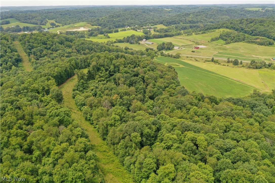 91695 Harrison Road Scio OH 43988