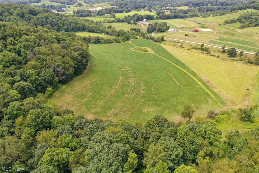 91695 Harrison Road Scio OH 43988