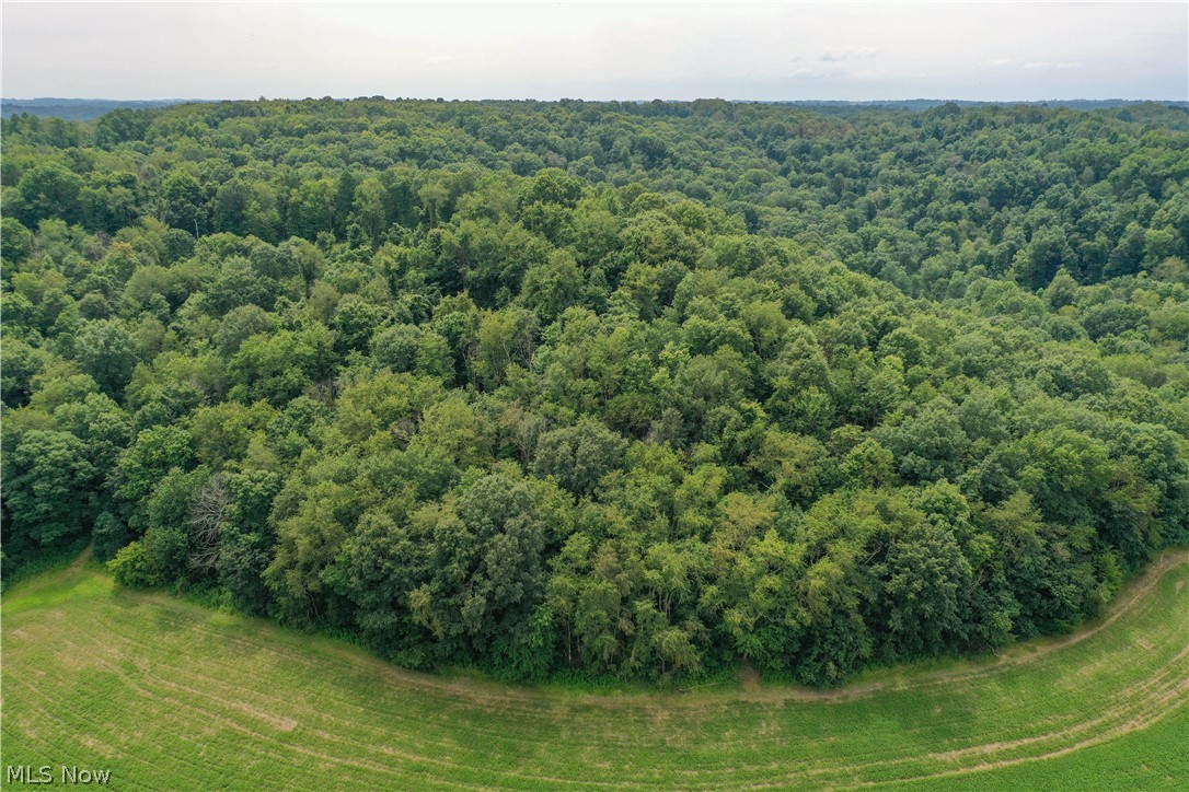 91695 Harrison Road Scio OH 43988