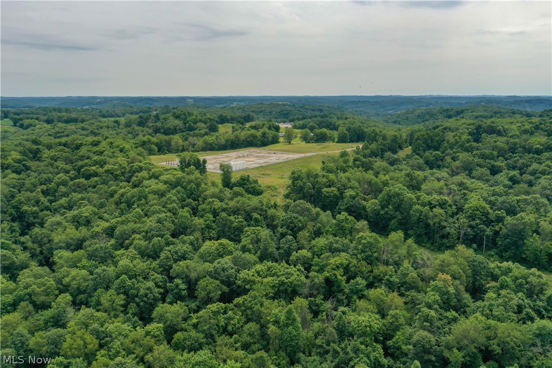 91695 Harrison Road Scio OH 43988