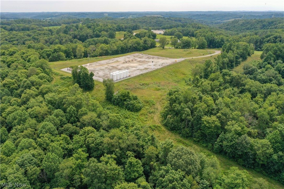 91695 Harrison Road Scio OH 43988