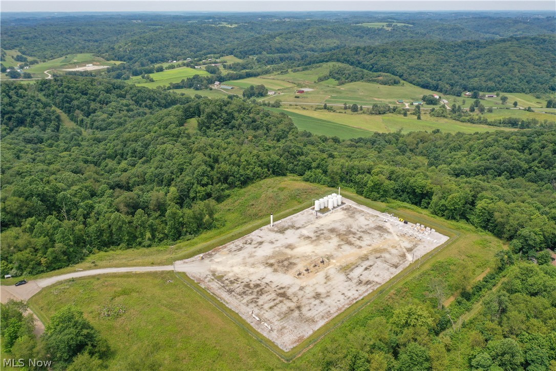 91695 Harrison Road Scio OH 43988