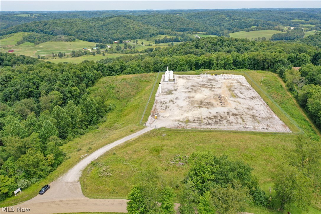 91695 Harrison Road Scio OH 43988