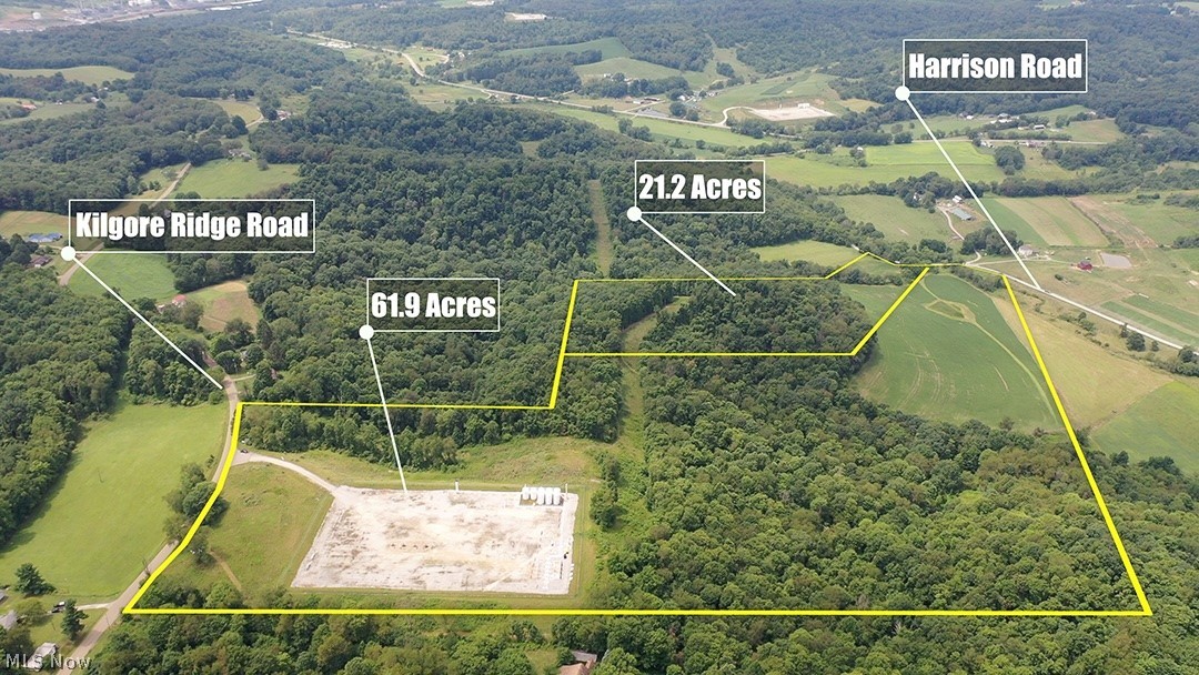 91695 Harrison Road Scio OH 43988