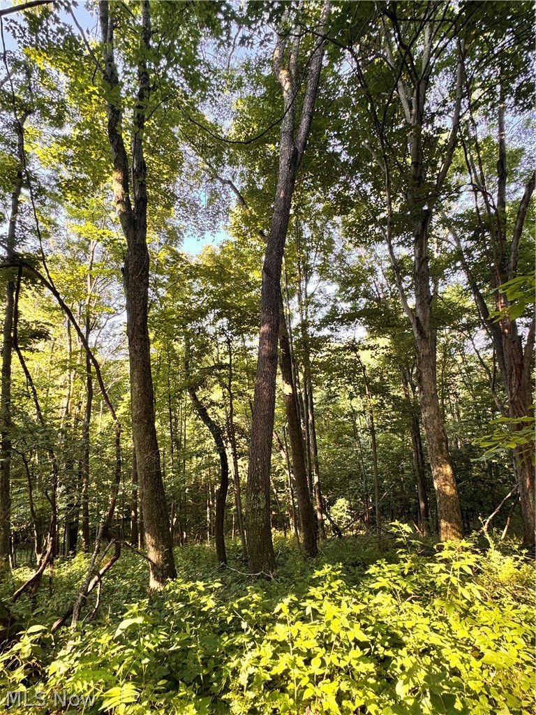 91695 Harrison Road Scio OH 43988