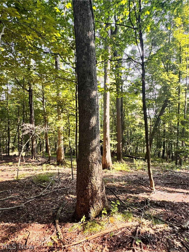 91695 Harrison Road Scio OH 43988