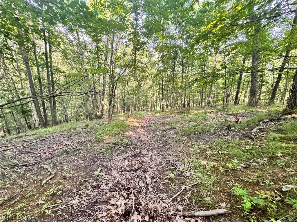 91695 Harrison Road Scio OH 43988