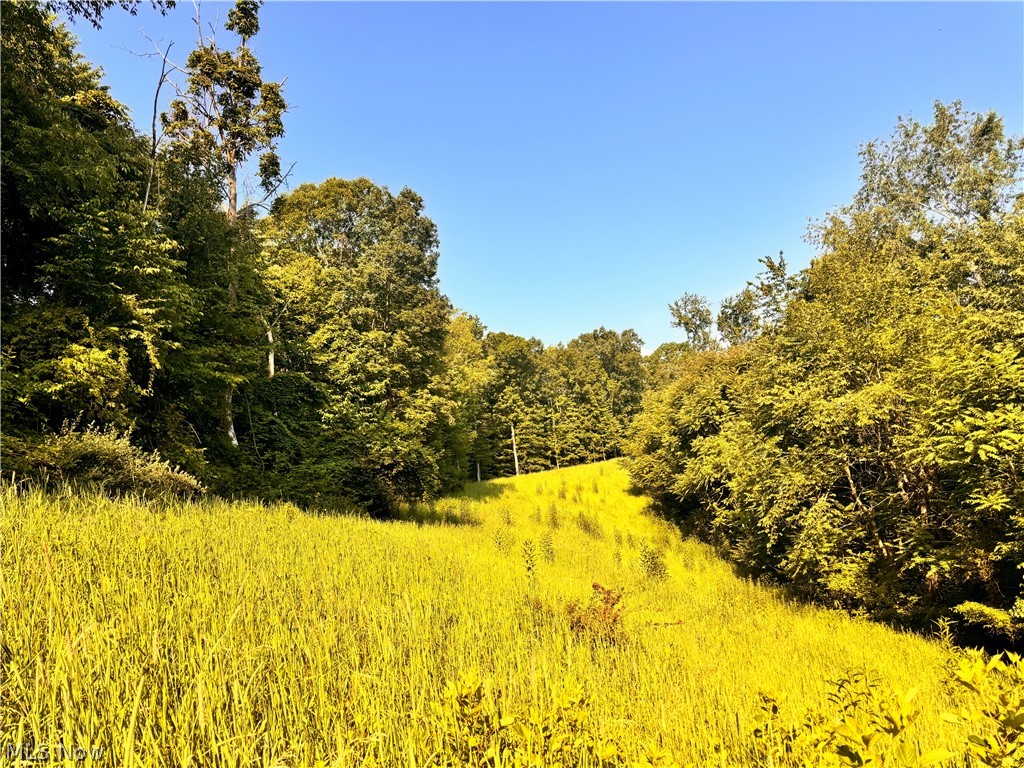 91695 Harrison Road Scio OH 43988