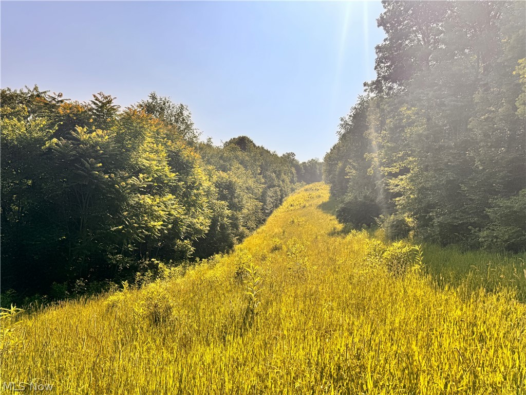 91695 Harrison Road Scio OH 43988