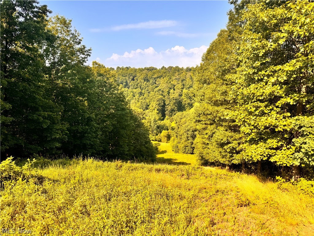 91695 Harrison Road Scio OH 43988