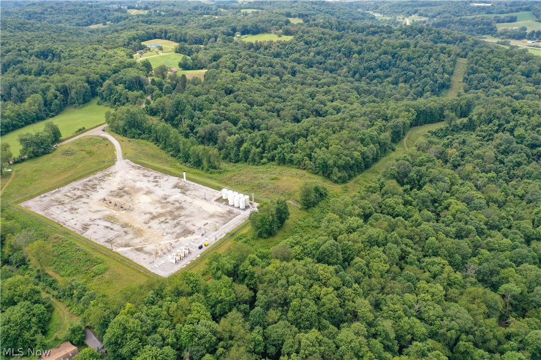 91695 Harrison Road Scio OH 43988
