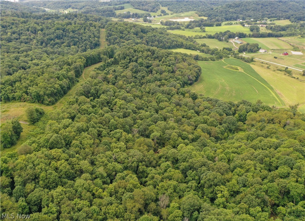 91695 Harrison Road Scio OH 43988